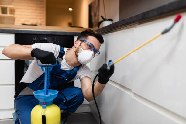 Best Wasp Removal Services  in Ainsworth, NE