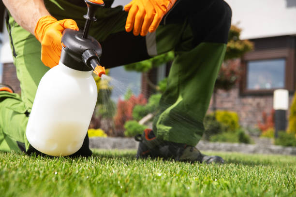 Best Best Pest Control Companies  in Ainsworth, NE