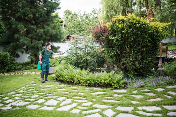 Best Residential Pest Control  in Ainsworth, NE