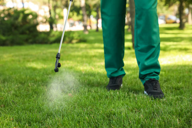Reliable Ainsworth, NE Pest Control Solutions