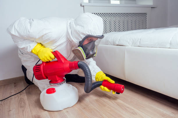 Best Pest Removal Services  in Ainsworth, NE