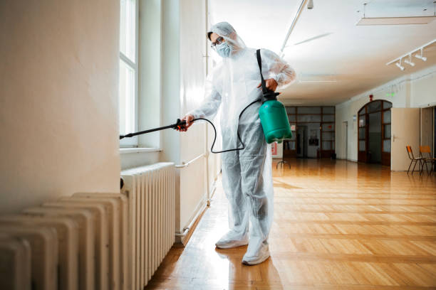 Best Flea Control Services  in Ainsworth, NE