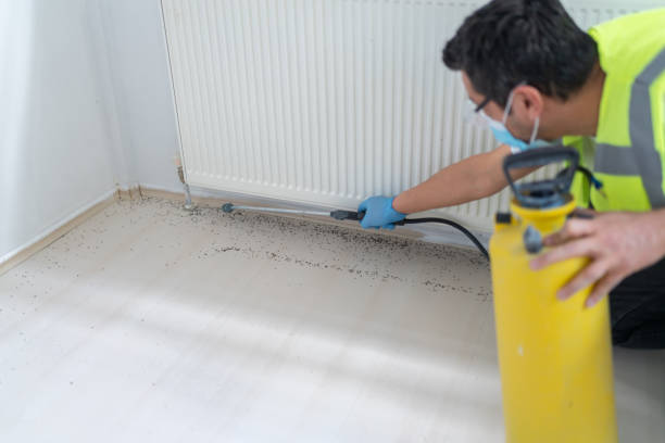 Best Ant Control Services  in Ainsworth, NE