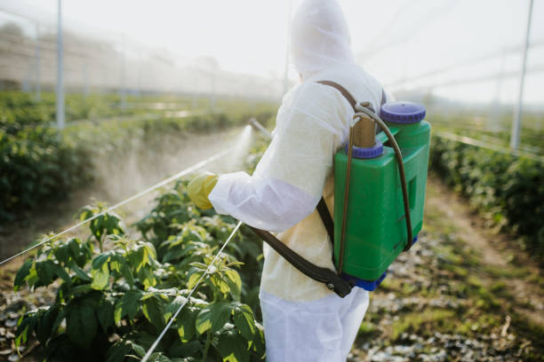 Best Exterminator Services  in Ainsworth, NE
